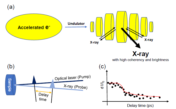 (a) X-선 자유전자 레이저 (X-ray Free Electron Laser, XFEL) 발생 원리에 대한 모식도. (b) Transient X-ray scattering 실험 및 (c) 얻어지는 결과 값 형태에 대한 모식도