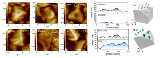 후처리 전과 각각 OAI, PEAI, CHEA, 4F-PEAI, KAS 로 후처리 한 후의 AFM 으로 측정한 페로브스카이트 박막의 표면 이미지. OAI 혹은 PEAI 후처리한 페로브스카이트 박막의(100) 결정면과 (111) 결정면 내에서의 Height profiles 결과. OA+ 혹은 PEA+ 가 (100) 결정면과 (111) 결정면에 passivation된 것에 대한 개략적인 모식도