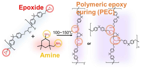 Epoxy Resin 물질과 Amine Hardner 물질에 의한 고분자 중합 반응에 대한 모식도