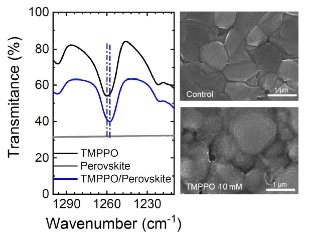 TMPPO 및 페로브스카이트 소재에 대한 FTIR 측정 결과 및 표면 SEM 이미지