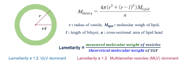 AF4-MALS를 이용한 lipid vesicle의 lamellarity 결정을 위한 이론적 접근