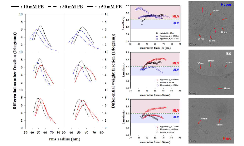 AF4-MALS로 결정된 삼투압 환경에서 lipid vesicle의 크기 및 lamellarity & cryo-TEM 이미지