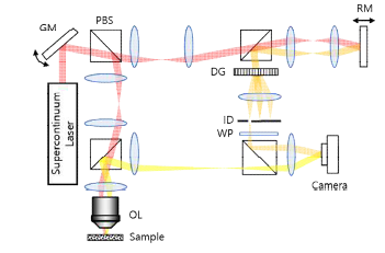 Spercontinuum laser를 이용한 3차원 이미징 시스템의 설계도. 빨간색: 입사 경로. 노란색: 샘플 반사 경로. 주황색: 레퍼런스 반 사 경로.
