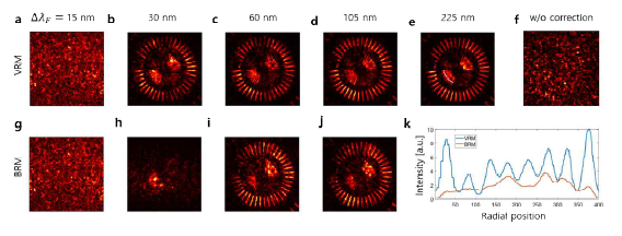 a-e, 3차원 이미징 시스템으로 복원한 이미지. 윗줄의 숫자는 광원의 선 폭을 의미한다. f, 수차 보정 없이 구한 이미지. g-j, 기존의 초심도 이미징 기법 으로 복원한 이미지. k, d (파란색)와 j (빨간색)에서 얻은 radial line plot (e의 흰 선에 해당하는 부분).