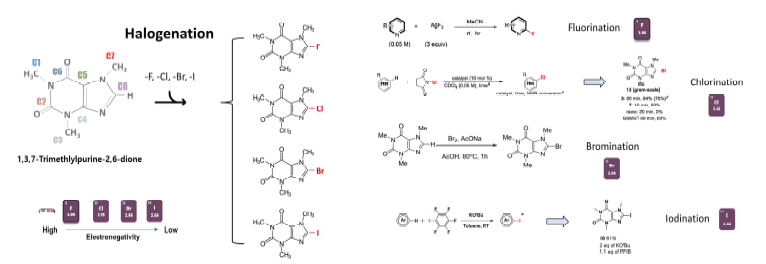 Caffeine 화합물 구조와 halogenation (-F, -Cl, -Br, -I)을 통한 molecular tuning 개략도.