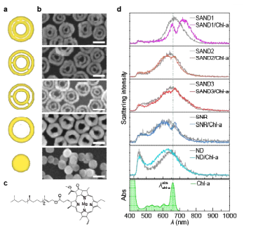 a-b, 본 연구에 사용된 다섯 종류의 나노구조체 모 식도 및 주사 전자 현미경 이미지. c, 본 연구에 사용된 chlorophyll-a의 분자구조. d, chl-a와의 커플링 전후 산란 스펙트럼 및 chl-a의 흡광 스펙트럼.