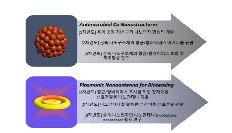 연차별 연구과제 수행 과정의 요약.