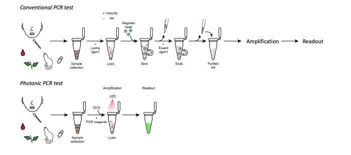 일반 PCR과 photonic PCR의 과정 비교 모식도.