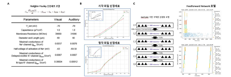 (A) 각 피질 및 청각 피질 신경세포 모델의 패러미터 (B) 신겨세포 모델의 전류-주파수 반응 (Current-Frequency Curve, F-I Curve) (Inset: 전기생리학 실험을 통해 획득된 F-I Curve) (C) 피드포워드 구조의 신경망 구조 (D) 신경망 구조에서의 신경 패턴 전달 규명