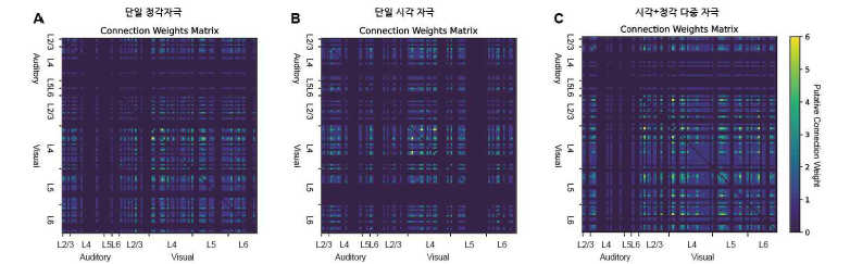 (A-B) 단일 감각 자극에 대한 신경망 구조 (C) 다중 감각 자극에 대해 반응하는 신경망 구조 도출