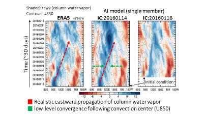 학습모델 MJO 공간분포 예측의 15oS-5oN 평균된 MJO anomaly 변화 (shaded: precipitable water, contour: u850)