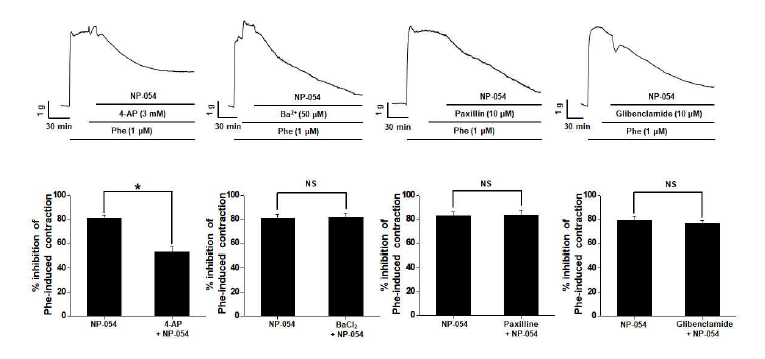 NP-054에 의한 혈관 이완 상승효과와 Kv 채널의 관계