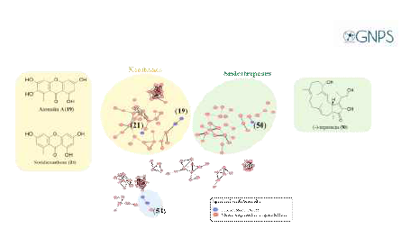 MS fragmentation 기반 선별된 추출물 분자 네트워킹