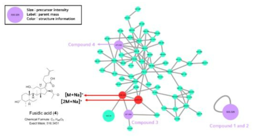 분자 네트워킹을 통해 선별된 추출물 내 신규활성물질 및 특이적 대사물질과 관련 유도체들의 구조 확인