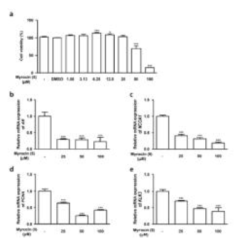 AR signaling 억제를 통한 anti-proliferative effect 검증