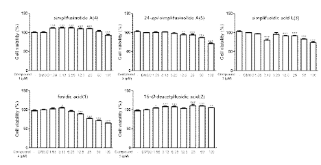 BPH-1 세포에 대한 anti-proliferative effect 검증