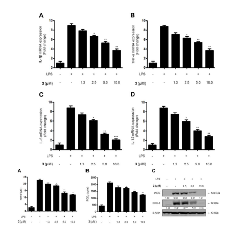 Anti-inflammatory 활성 검증