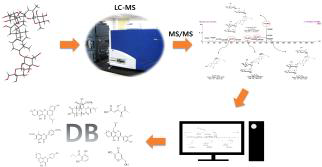 천연물 유래 순수화합물 MS fragment DB 구축