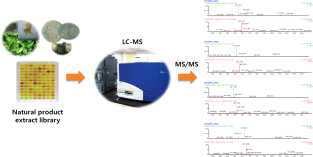 LC-MS를 이용한 천연물(식물, 미생물) 유래 추출물 라이브러리 MS/MS 분석