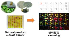천연물(식물, 미생물) 유래 추출물의 생리활성 스크리닝