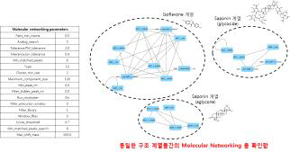 MS fragmentation 기반 분자네트워킹 분석기법 시스템 확립