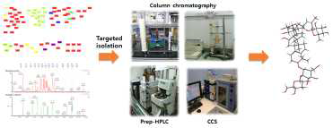 LC-MS 프로파일링을 통한 표적 분리