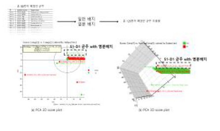 폐염전균주 다변량 분석