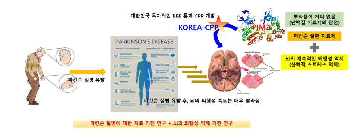 연구의 착안점