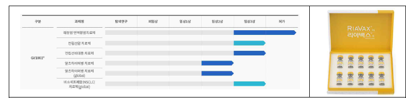 국내 CPP를 이용한 치료제 개발 현황