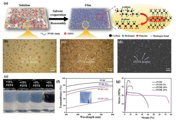 (a) Schematic of the mechanism of encapsulation of the FDTS droplet in PVDF. Optical micrograph images of the FDTS liquid in (b) the solution state and (c) film. (d) Cross-sectional SEM image of the pore morphologies of PVDF-10%. (e) Photograph of PVDF-based solutions, from left to right, these are PVDF-15%, PVDF-10%, PVDF-5%, and PVDF. (f) Transmittance of the PVDF-based composites; inset: photograph of the semitransparent PVDF-10%. (g) Stretchability of the PVDF-based composites