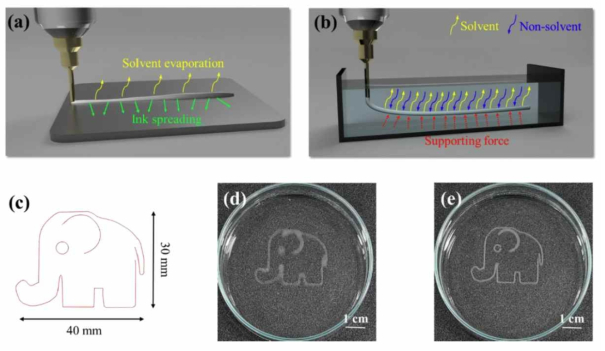 Schematic illustration of (a) DWP and SPDWP in an embedding media. (c) Printed elephant structure. Aerial view of a single layer elephant printed by (d) direct-write printing (DWP) and (e) solvent-assisted precipitation direct-write 3D printing (SPDWP)