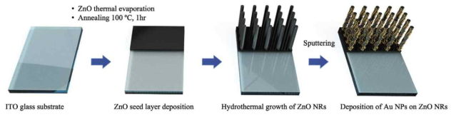 Schematic of the fabrication process of the Au NPs/ZnO NRs nanostructure-based sensor for 5hmC detection