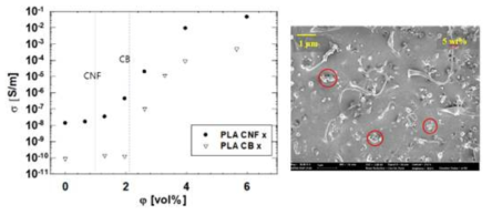 PLA에 분산된 구형탄소입자(CB, 종횡비=1)와 종횡비가 높은 탄소입자(CNF, 종횡비 > 100)의 함량에 따른 전기전도도(σ) 변화 비교