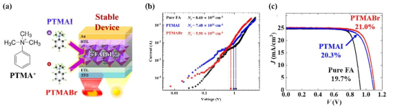 (a) 페닐트라이메틸암모늄 (PTMA) 분자구조 및 PTMAI, PTMABr을 FAPbI3 페로브스카이트에 적용하는 연구과정을 나타낸 모식도. (b) Space charge limited current (SCLC) 측정을 통한 결함 농도 (Nt) 비교. (c) PTMA 첨가 태양전지의 효율 향상을 보여주는 전류-전압 곡선