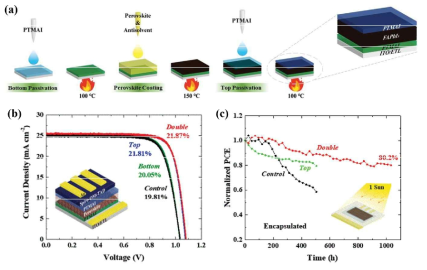 (a) PTMA를 페로브스카이트 상하부 계면에 모두 적용하는 이중 패시베이션 공정 모식도. (b) 다양한 공정 과정을 사용한 태양전지의 전류-전압 곡선. 이중 패시베이션 (Double, 빨강)에서 최고 효율 달성. (c) 1 sun 조건에서의 태양전지 안정성 비교