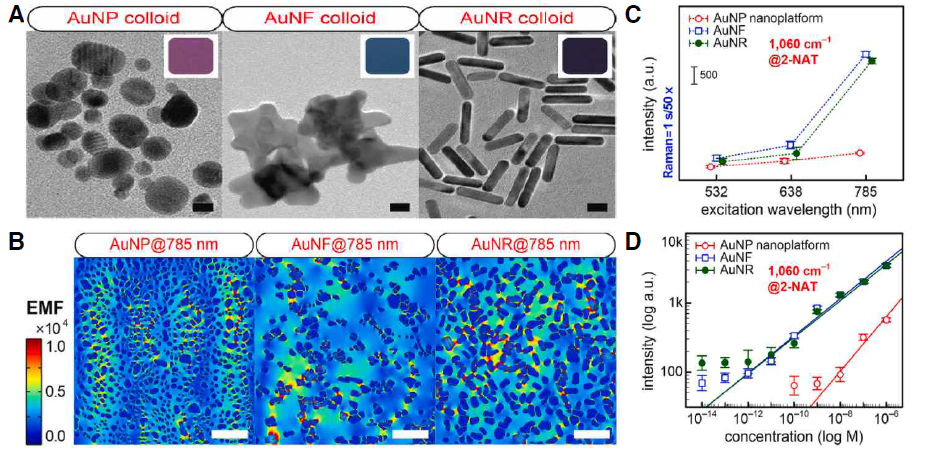 A 구(左)/별(中)/막대(右) 모양의 나노입자 제작 (스케일 바 = 10 nm), B 785 nm 라만여기파장에서 전자기장 증폭 시뮬레이션 결과 (스케일 바 = 200 nm), C 2-NAT를 이용한 각 라만여기파장(532/638/785 nm)에서 각 나노입자를 이용한 SERS 기판의 신호 증폭 실험 결과, D 각 나노입자를 이용한 SERS 기판의 785 nm 라만여기파장에서 측정한계 실험 결과