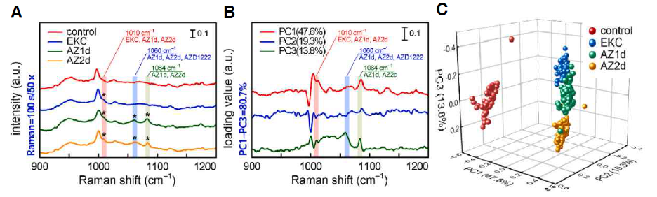A 대조군(control)과 실험군(EKC/AZ1d/AZ2d)의 라만분광신호 및 무표지자 바이오마커, B PCA 분석을 통한 각 라만분광 바이오마커의 유의미성 확인, C 라만분광 바이오마커를 통한 대조군과 실험군, 실험군들 사이의 클러스터 분석 결과