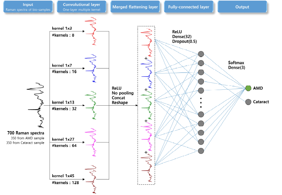 AMD와 Cataract를 분류하기 위한 single-layer multi-kernel CNN 알고리즘의 개념도