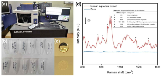 (a) 데스크탑 라만분광신호 측정 장비, (b) AMD 환자 방수 샘플, (c) Au-coated SERS 기판에 drop 된 방수 샘플(상)과 1시간 자연건조 후 방수 샘플(하), (d) AMD 방수 샘플의 라만분광 신호 및 바이오마커 후보군 라만분광 peak 값