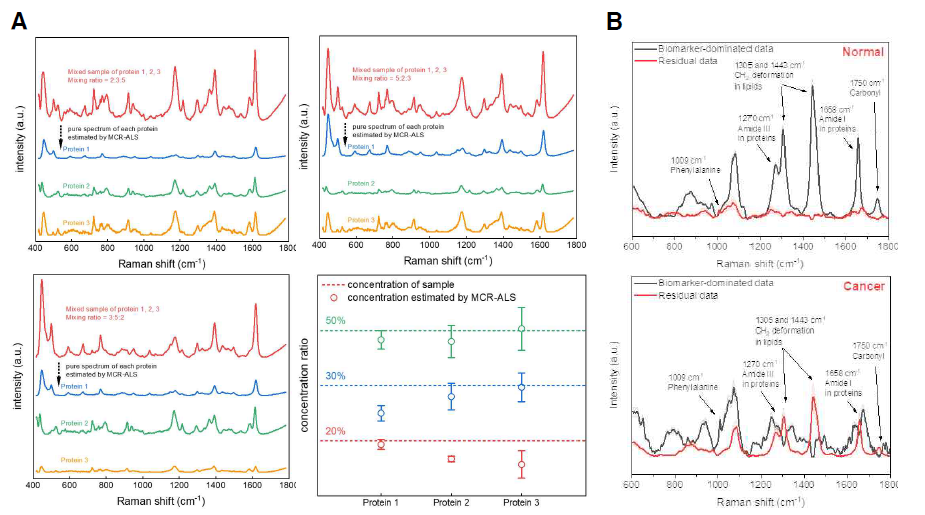 A 3종류의 액체 검체가 혼합된 샘플의 라만분광신호 측정 및 다변량 라만분광신호 분리 기술 기반의 각 액체 검체 종류/농도 예측 결과, B 정상조직(上)과 유방암 조직(下)의 다변량 라만분광신호 분리 기술 기반의 바이오마커 분석 및 진단 기술