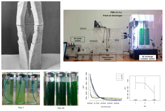자체보완활동: 대형 스케일 목업제작중(좌상단), 녹조류(spirulia)재료 환경기능성능 실험분석