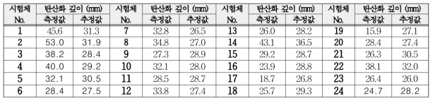 개발모델의 탄산화깊이 추정결과 검증