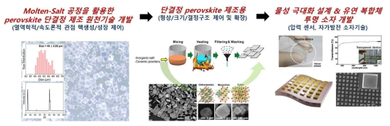 본 과제의 연구방향