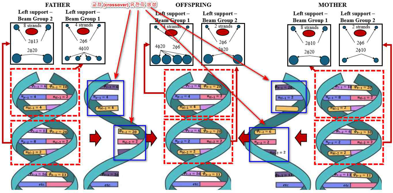 프리스트레싱된 프레임의 유전 알고리즘 기반에서의 설계를 위한 유전자 교차 (crossover)