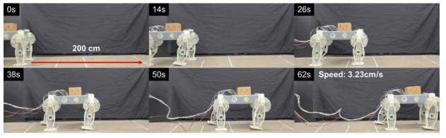 사족보행로봇의 보행 실험