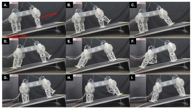 사족보행로봇의 등반 실험