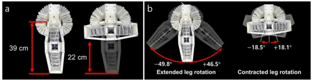 텐시그리티 다리모듈의 (a) 선형구동과 (b) 회전구동 모습