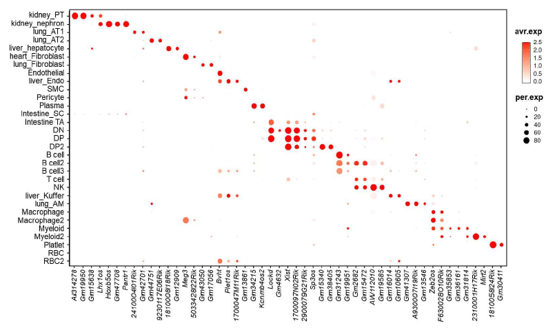 6개 조직의 각 cell type에서 differentially expressed lncRNAs