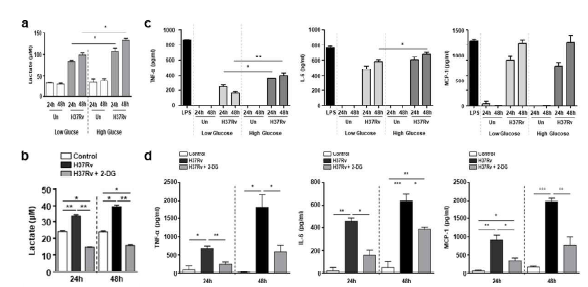 glycolysis 억제에 따른 염증성 사이토카인 생성