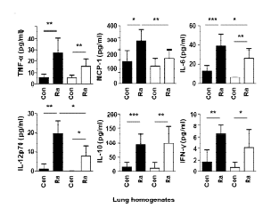 Lipocalin 2 단백질 발현조절에 따른 염증성 사이토카인 생성 변화